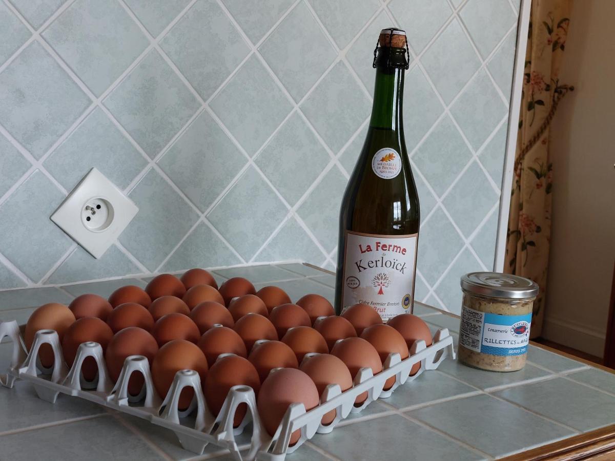 Ty Ann Maison Avec Jardin Clos De Mur, A Proximite Des Commerces Et A 3Km Des Plages Penvénan Екстериор снимка